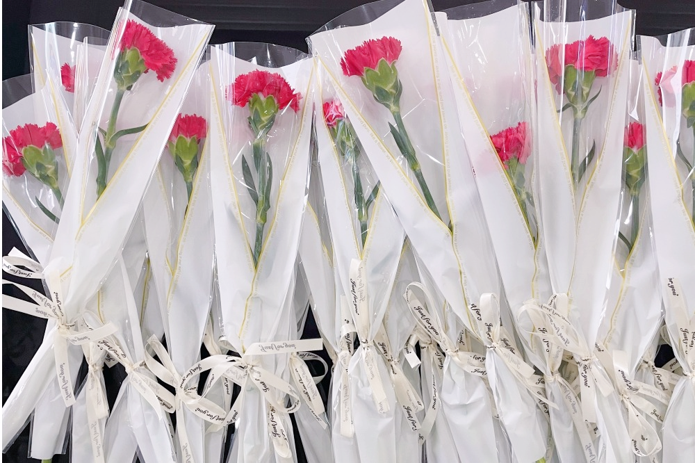 獻(xiàn)禮3.8節(jié)|勇做攀登者，奮進(jìn)新未來